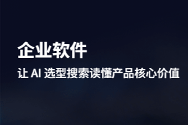 AI大模型时代：企业软件的价值突围战